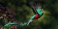 Oldtimer Rallye Reise Zentralamerika Quetzal Costa Rica